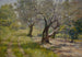 L'oliveraie - William Merritt Chase — vista de la obra