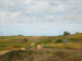 Sin título, Shinnecock Hills, Long Island - William Merritt Chase — vista de la obra