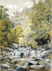 Catskill Clove - William Rickarby Miller — vista de la obra