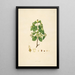 Plantas de la costa de Coromandel Pl052 - William Roxburgh — cuadro enmarcado en la pared