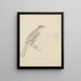 Un pájaro - William Swainson — cuadro enmarcado en la pared