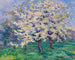 Pommier en flor - Willy Schlobach — vista de la obra