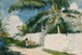 A Garden in Nassau - Winslow Homer — artwork view