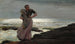 A Light on the Sea - Winslow Homer — artwork view