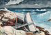 Después del huracán Bahamas - Winslow Homer — vista de la obra