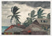 Nuestro Huracán en las Bahamas - Winslow Homer — vista de la obra