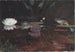 Vison Pond - Winslow Homer — artwork view