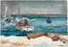 Nassau - Winslow Homer — vista de la obra