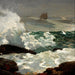 Sobre una costa protegida - Winslow Homer — vista de la obra