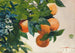 Oranges on a Branch - Winslow Homer — artwork view