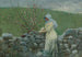 Flores de duraznero - Winslow Homer — vista de la obra