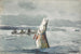 Brochet, lago Saint-Jean, pesca de la ouananiche - Winslow Homer — vista de la obra