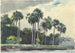 Camisa roja Homosassa Florida - Winslow Homer — vista de la obra
