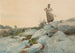 La recolectora de haces - Winslow Homer — vista de la obra