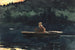 L'essor - Winslow Homer — vista de la obra