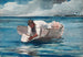 L'éventail d'eau - Winslow Homer — vista de la obra