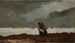 Dos figuras cerca del mar - Winslow Homer — vista de la obra