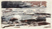 Ruisseau forestier - Winslow Homer — vista de la obra