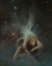 Estrella fugaz - Witold Pruszkowski — vista de la obra