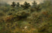 En la orilla del arroyo - Xavier de Cock — vista de la obra