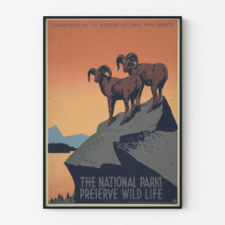 Póster vintage National Parks Preserve Wild Life, mostrado en un marco delgado sobre una pared clara.