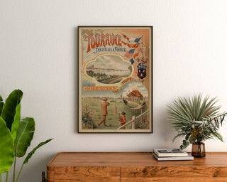 Vintage Touraine poster, Garden of France, framed above a wooden dresser between plants.