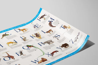 alphabet-animals-chart