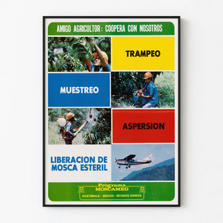 amigo-agricultor-coopera-con-nosotros-trampeo-muestreo-aspersion-liberacion-de-mosca-esteril