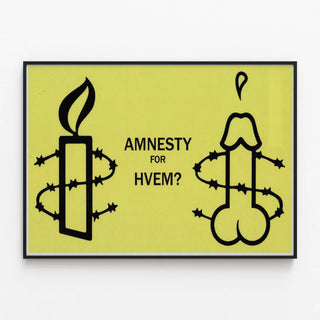 amnesty-for-hvem