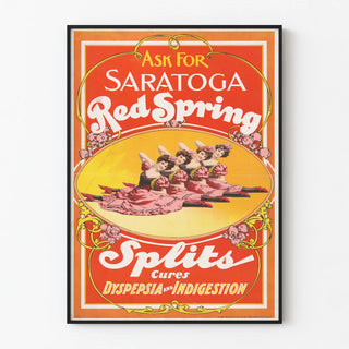 ask-for-saratoga-red-spring-splits-cures-dyspepsia-and-indigestion