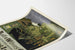 Vintage poster Ault & Wiborg - Printing inks and lithography
