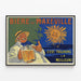 Póster vintage Cerveza de Maxéville - C'est toujours la meilleure — cuadro enmarcado en la pared