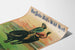 Póster vintage de Buffalo Bill's Wild West - Toro salvaje