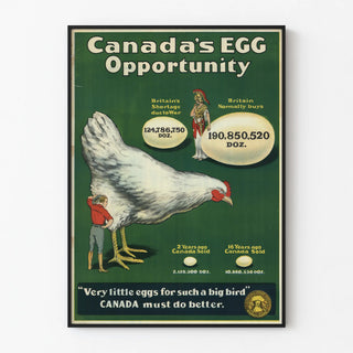 canadas-egg-opportunity