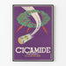 Póster vintage Cicamide polvo cicatrizante
