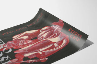 cover-design-for-stefan-grafs-book-jur-janosiak