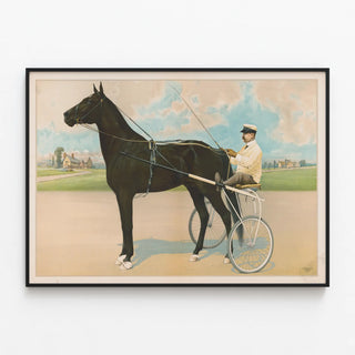 dan-patch-champion-harness-horse-of-the-world