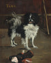 Perro japonés Tamathe - Édouard Manet — vista de la obra