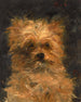 Cabeza del perro Bob - Édouard Manet — vista de la obra