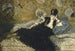 Mujer con abanicos - Édouard Manet — vista de la obra