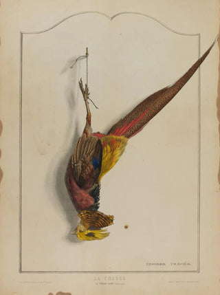 douard Travis - La Chasse Le Faisan Dore.webp