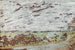 Los márgenes de la Touques Pont-l'Évêque - Édouard Vuillard — vista de la obra