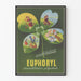 Vintage Poster Euphoryl Desensitization Multipurpose