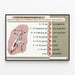 Educational Poster of Mnemonics on the Posterior Branches of the Brachial Plexus — framed artwork on a wall