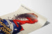 Póster Vintage Café Brasileño de Calidad Superior