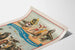 Póster vintage de la troupe de leones marinos y otarios Forepaugh & Sells Brothers