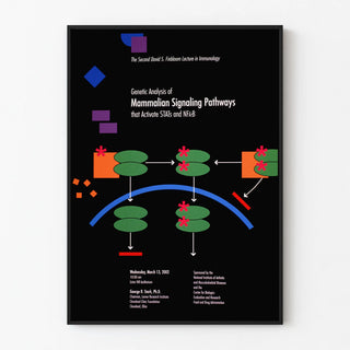 genetic-analysis-of-mammalian-signaling-pathways-that-activate-stats-and-nfkb