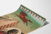 Hippodrome Poster Wonder Jumping Horse and Man Bear
