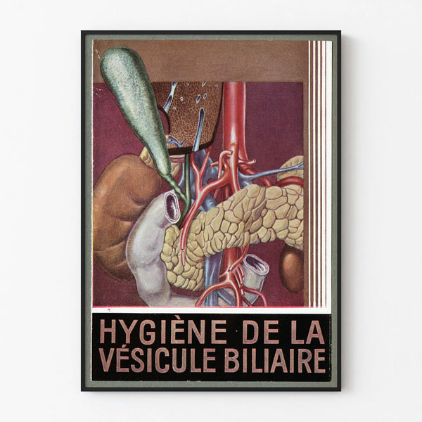 hygiene-de-la-vesicule-biliaire