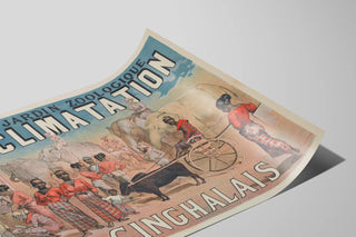 jardin-zoologique-dacclimatation-cinghalais